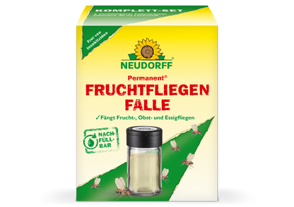 Permanent FruchtfliegenFalle