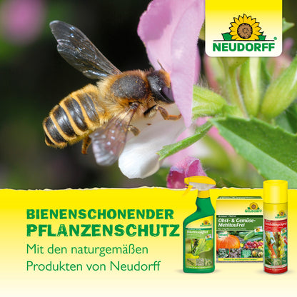 BioKraft Grundstoff Natron 500ml