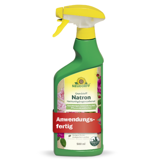 Grundstoff Natron 500ml