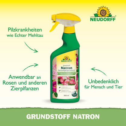Grundstoff Natron 500ml