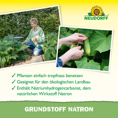 Grundstoff Natron 500ml