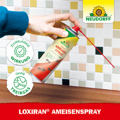 Loxiran AmeisenSpray