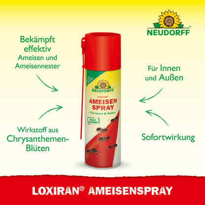 Loxiran AmeisenSpray