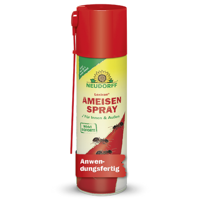 Loxiran AmeisenSpray