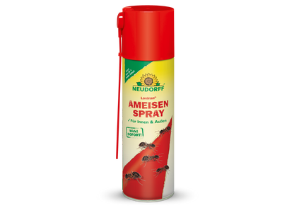Loxiran AmeisenSpray