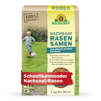 Nachsaat RasenSamen