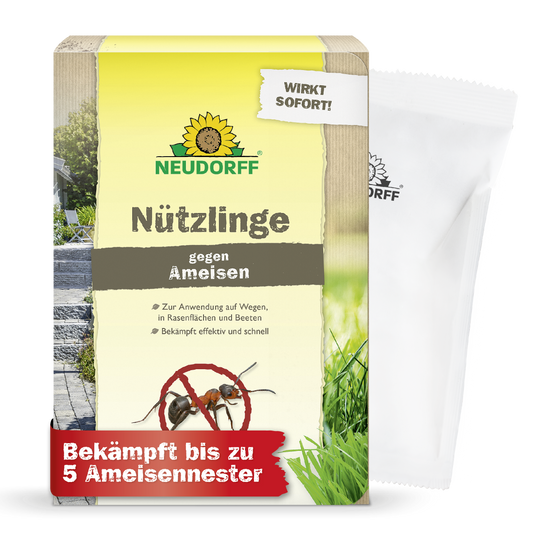 Nützlinge gegen Ameisen von Neudorff bekämpfen Ameisen natürlich, schnell und effektiv