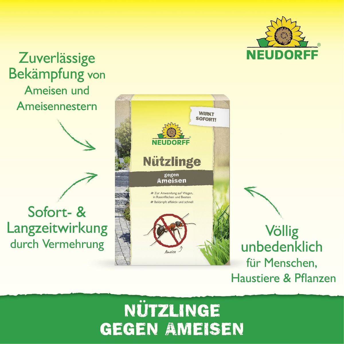Nützlinge gegen Ameisen von Neudorff zur zuverlässigen Bekämpfung von Ameisen und Ameisennestern