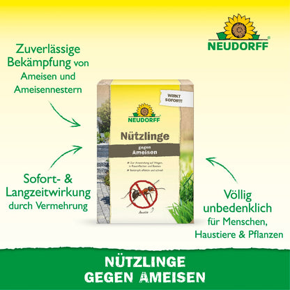 Nützlinge gegen Ameisen von Neudorff zur zuverlässigen Bekämpfung von Ameisen und Ameisennestern