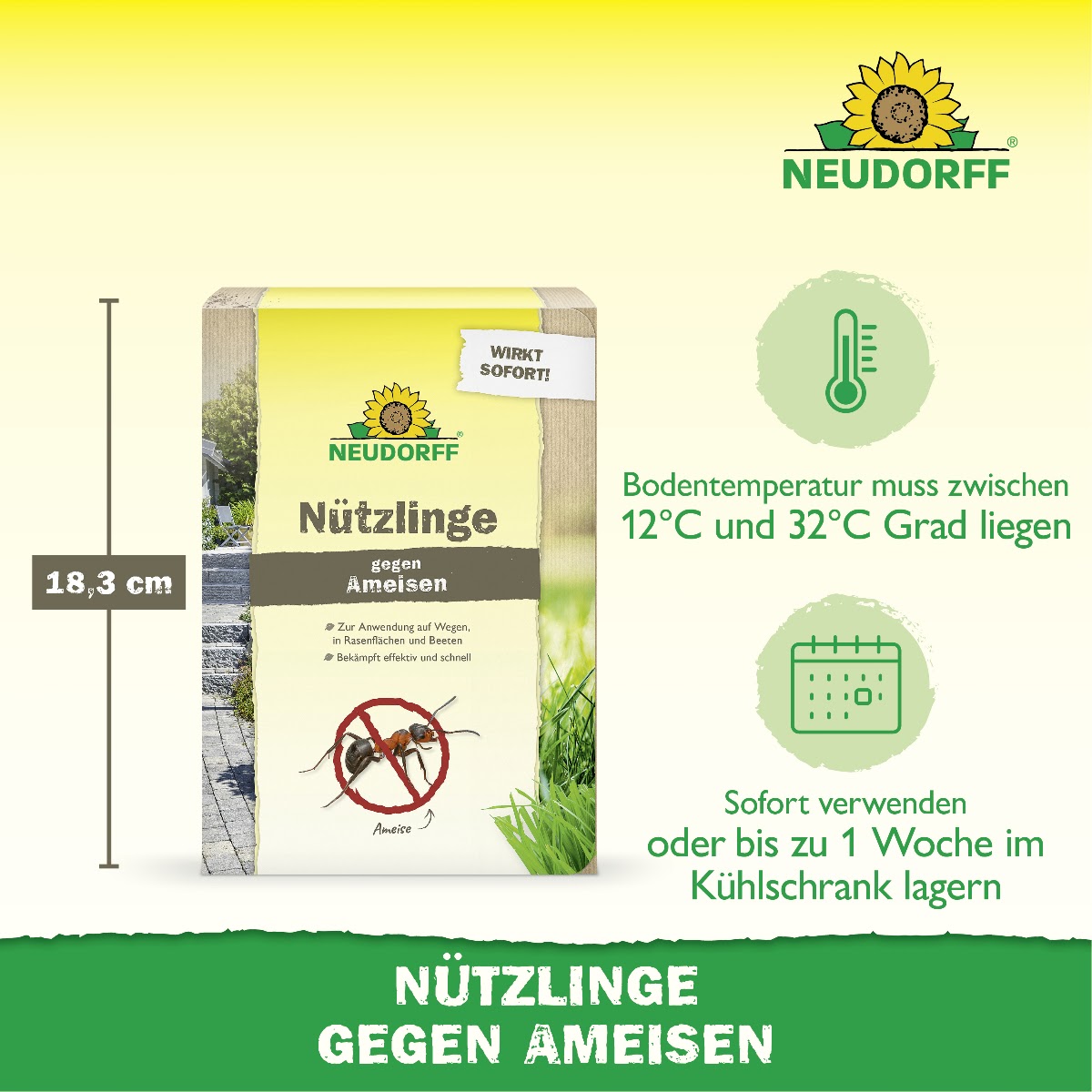 Nützlinge gegen Ameisen von Neudorff vertreiben Ameisen aus dem Rasen und von der Terrasse auf natürliche Weise