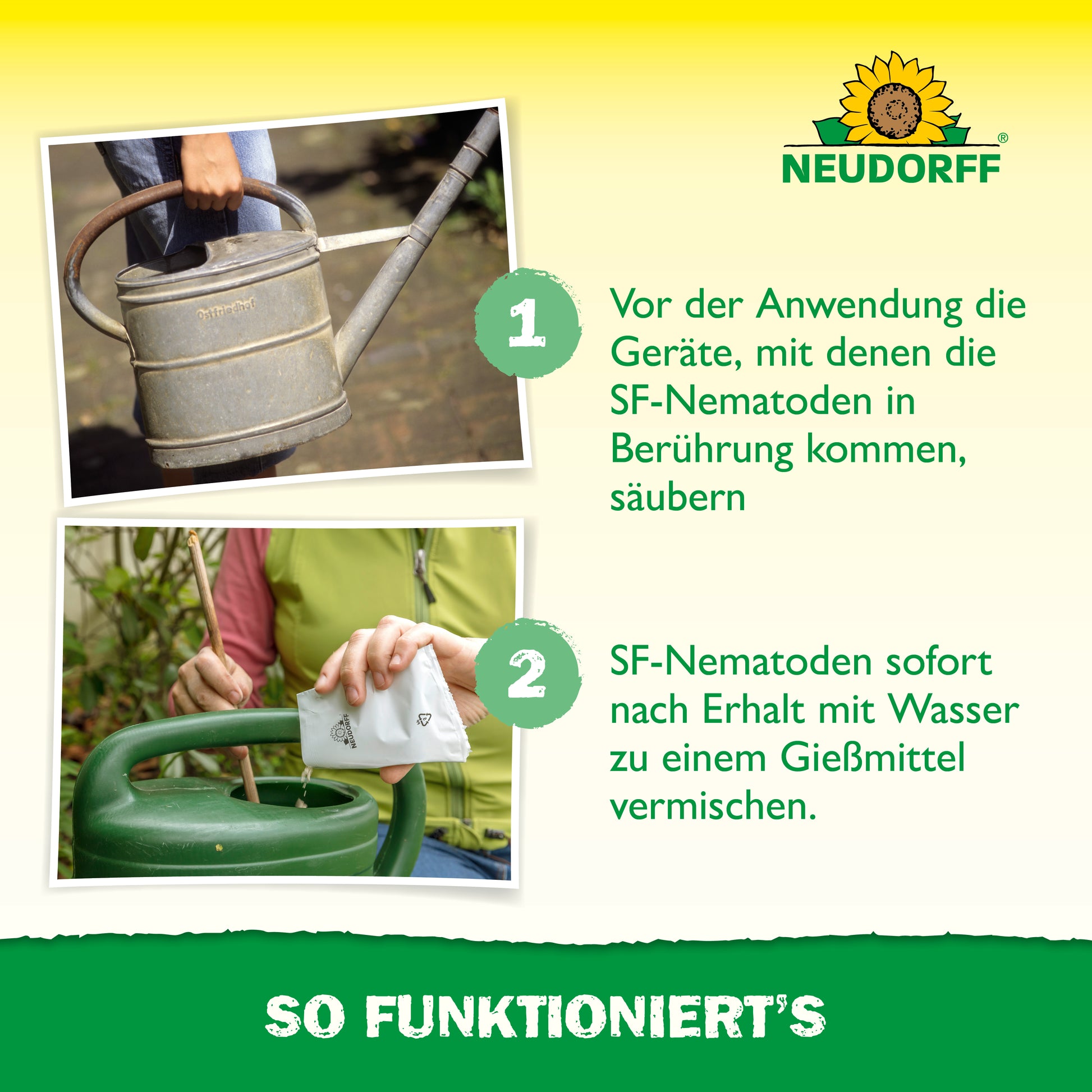 Nützlinge gegen Ameisen von Neudorff sind kleine Fadenwürmer, die als natürliche Feinde der Ameise gelten und Ameisen bekämpfen