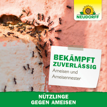 Nützlinge gegen Ameisen