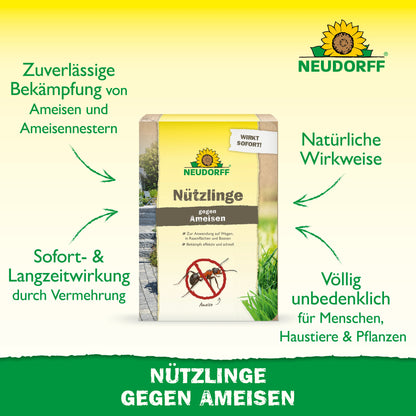 Nützlinge gegen Ameisen