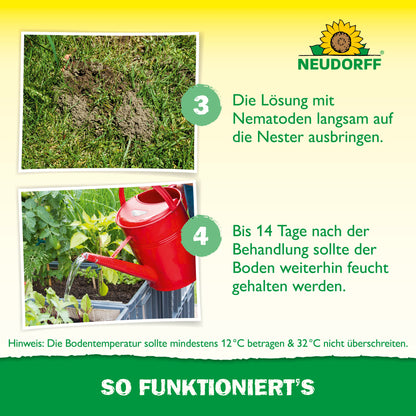 Nützlinge gegen Ameisen