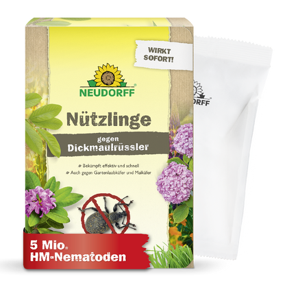 Du willst Dickmaulrüssler oder Maikäfer natürlich bekämpfen? Mit Nematoden bzw. Nützlingen gegen Dickmaulrüssler von Neudorf bekämpft man  Dickmaulrüssler-Larven sowie Engerlinge von Maikäfern und Gartenlaubkäfern ganz natürlich und wirksam
