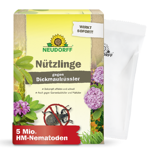 Du willst Dickmaulrüssler oder Maikäfer natürlich bekämpfen? Mit Nematoden bzw. Nützlingen gegen Dickmaulrüssler von Neudorf bekämpft man  Dickmaulrüssler-Larven sowie Engerlinge von Maikäfern und Gartenlaubkäfern ganz natürlich und wirksam