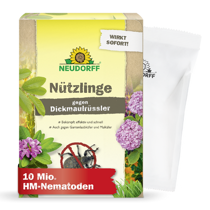 Du willst Dickmaulrüssler oder Maikäfer natürlich bekämpfen? Mit Nematoden bzw. Nützlingen gegen Dickmaulrüssler von Neudorf bekämpft man  Dickmaulrüssler-Larven sowie Engerlinge von Maikäfern und Gartenlaubkäfern ganz natürlich und wirksam
