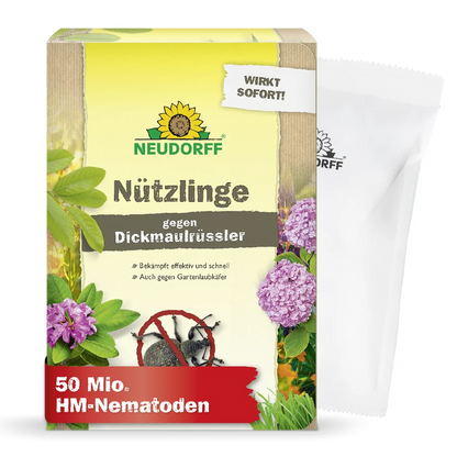 Nützlinge gegen Dickmaulrüssler