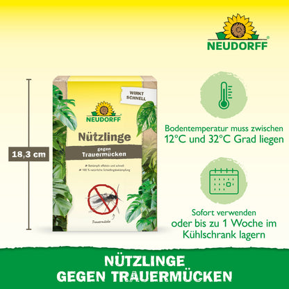 Nützlinge gegen Trauermücken