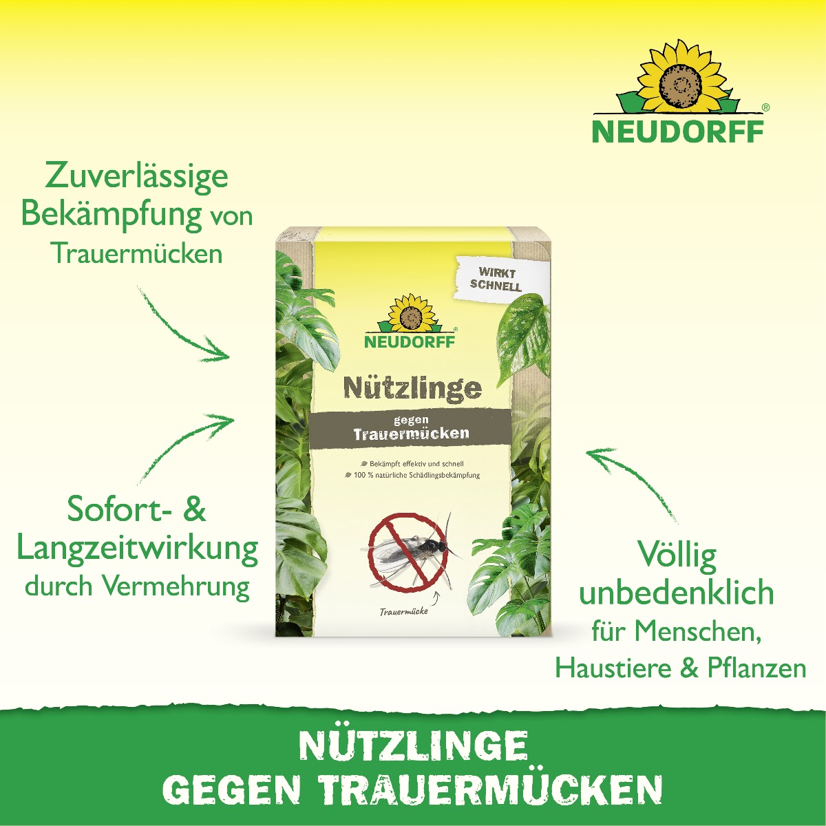 Neudorff Nützlinge gegen Trauermücken mit den vier wichtigsten Produktvorteilen