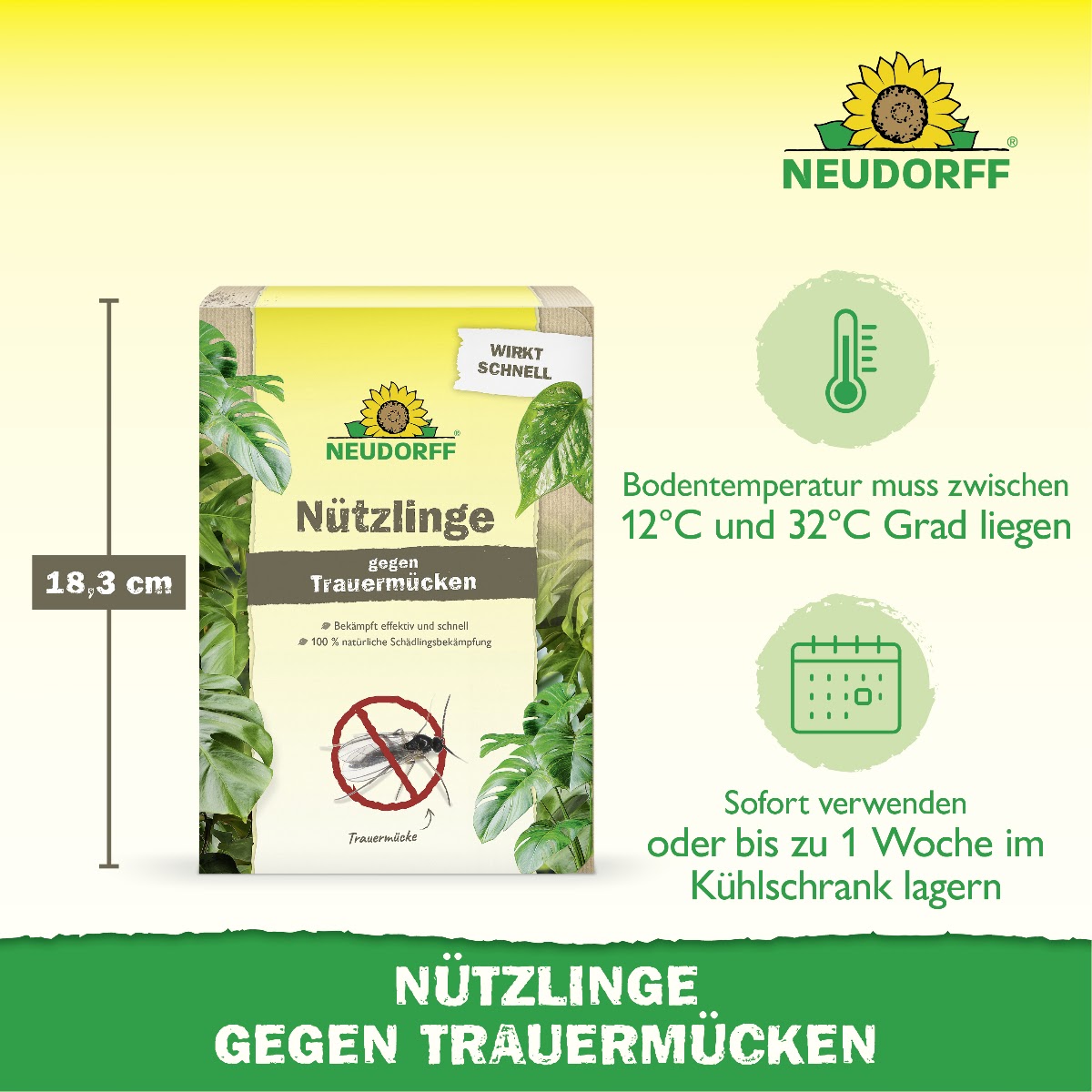 Neudorff Nützlinge gegen Trauermücken mit zwei wichtigen Anwendungshinweisen