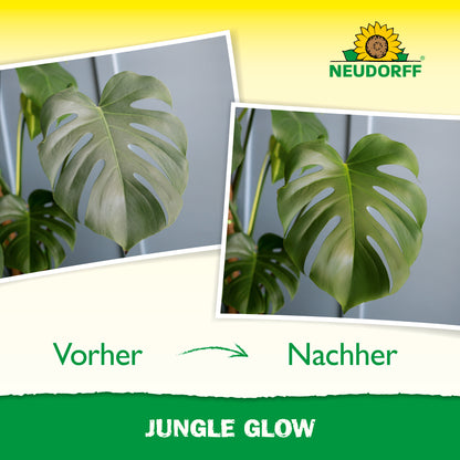 Jungle Glow