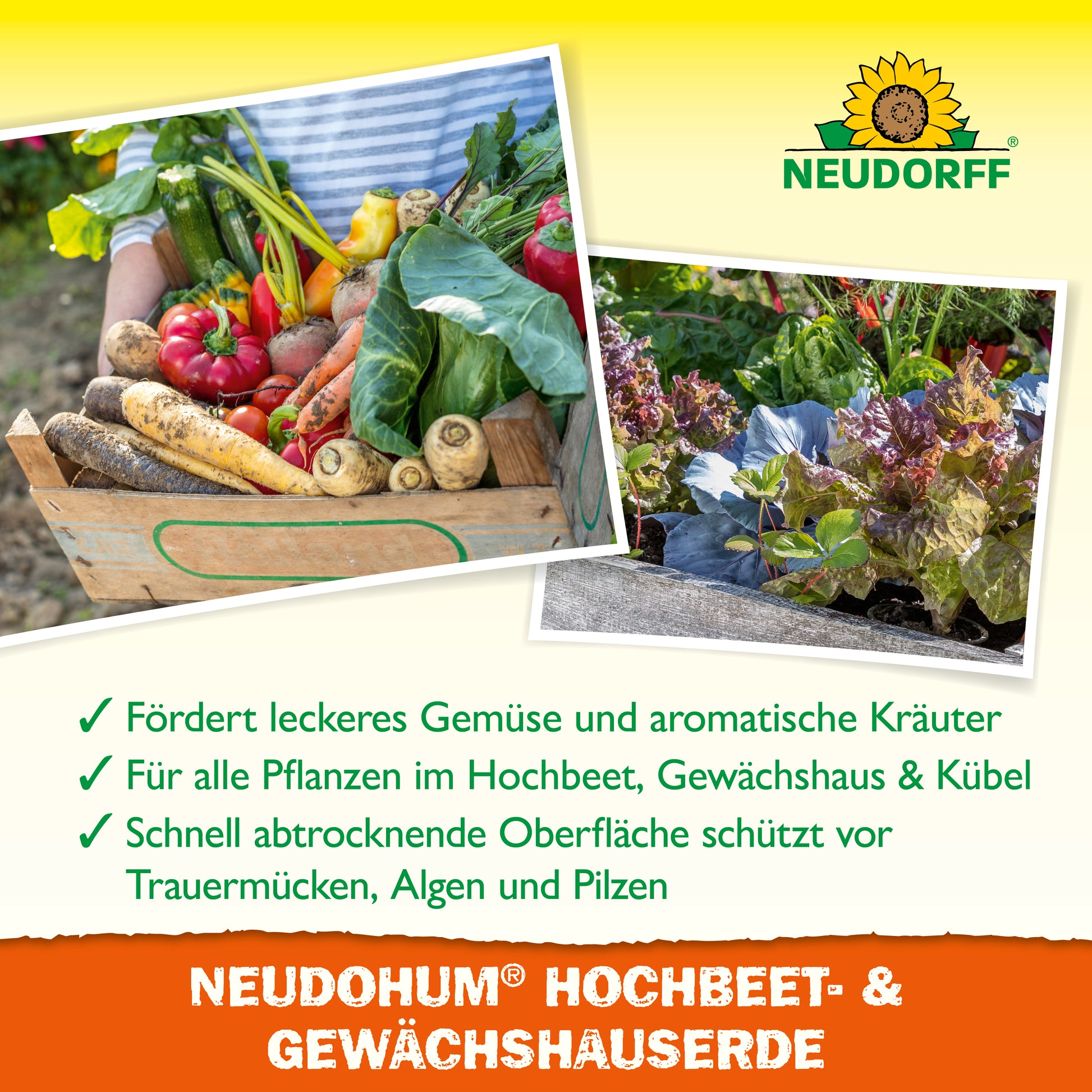 Hochbeet Spezialerde für leckeres, aromatisches Gemüse