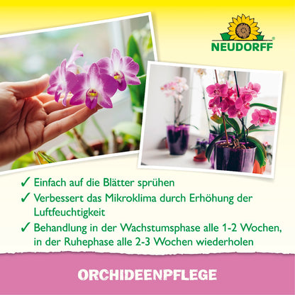 OrchideenPflege