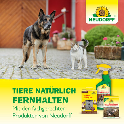 Protectan Katzen-Schreck