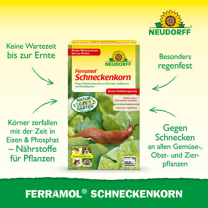 Besonders regenfestes Schneckenkorn zur Bekämpfung von Schnecken an Gemüse-, Obst- und Zierpflanzen, dessen Körner sich mit der Zeit in pflanzenverfügbare Nährstoffe umwandeln