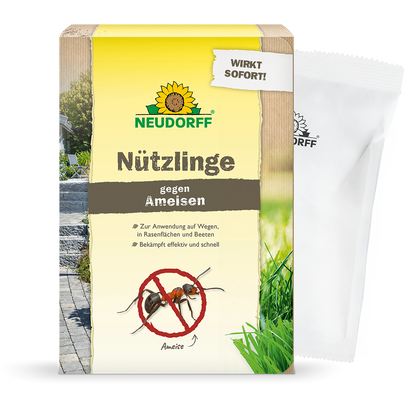 Nützlinge gegen Ameisen