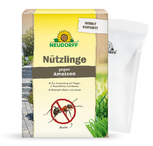 Nützlinge gegen Ameisen
