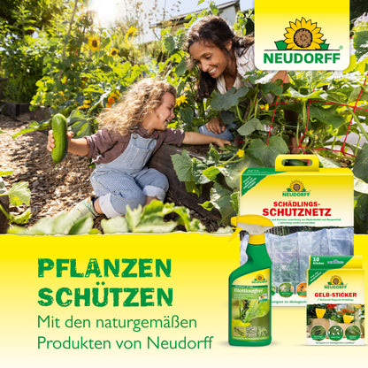 Nützlinge gegen Ameisen