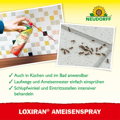 Loxiran AmeisenSpray
