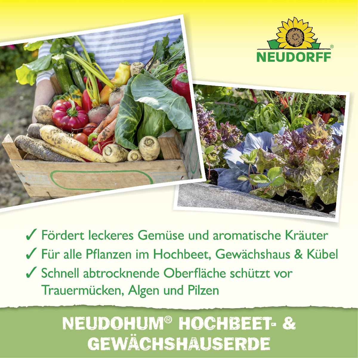 Torffreie Hochbeet- und Gewächshauserde verursacht 62% weniger Emissionen