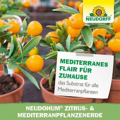 NeudoHum Zitrus- & MediterranpflanzenErde