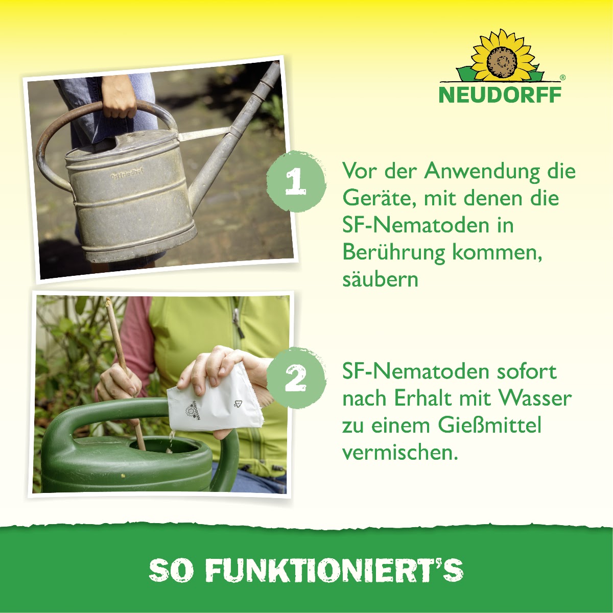 Nützlinge gegen Ameisen von Neudorff sind kleine Fadenwürmer, die als natürliche Feinde der Ameise gelten und Ameisen bekämpfen