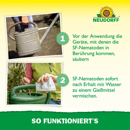 Nützlinge gegen Ameisen von Neudorff sind kleine Fadenwürmer, die als natürliche Feinde der Ameise gelten und Ameisen bekämpfen