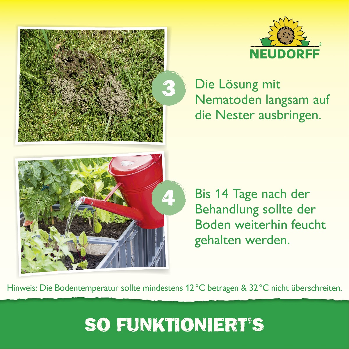Nützlinge gegen Ameisen von Neudorff bekämpfen Ameisen auf natürliche Weise mit Sofort- und Langzeitwirkung