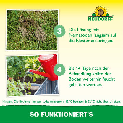 Nützlinge gegen Ameisen von Neudorff bekämpfen Ameisen auf natürliche Weise mit Sofort- und Langzeitwirkung