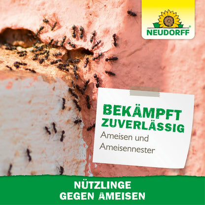 Gegen Ameisen im Rasen, auf der Terrasse und im Garten helfen Nematoden bzw. Nützlinge gegen Ameisen von Neudorff, die natürlichen Feinde der Ameise