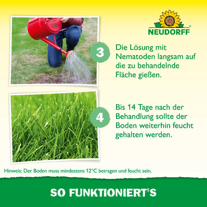 Nützlinge gegen Wiesenschnaken