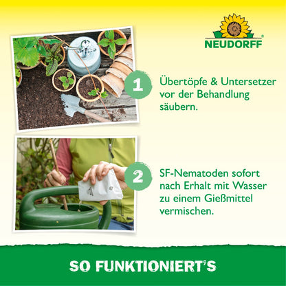 Nützlinge gegen Trauermücken